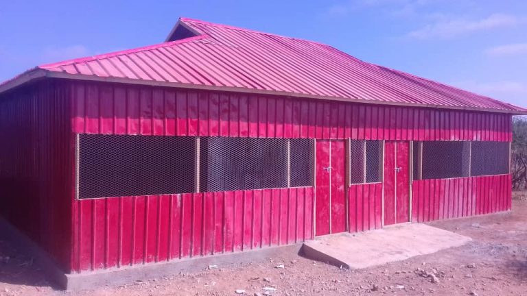 WhatsApp Image 2019-03-28 at 14.35.07 (1)